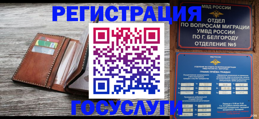 прописка 2025 в Геленджике